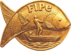 43º FIPe